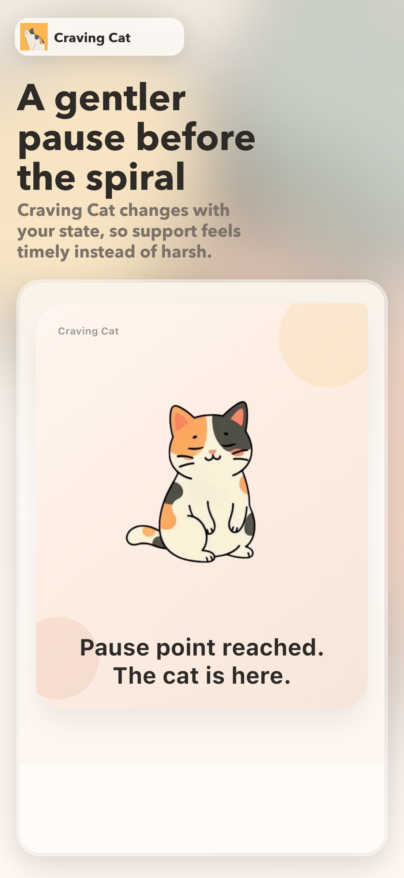 Craving Cat home
