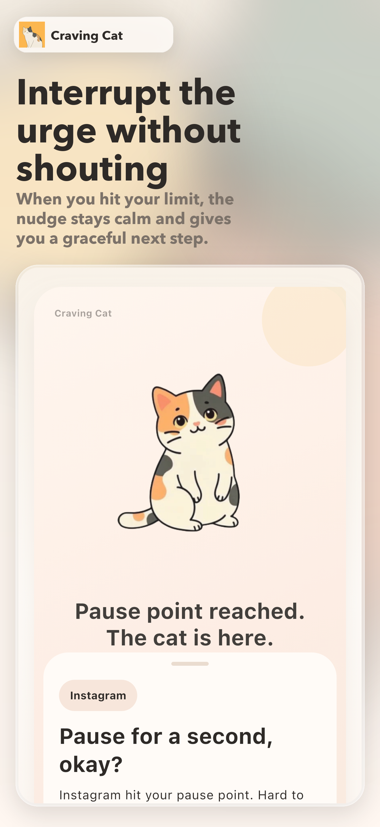 Choose again before opening an app