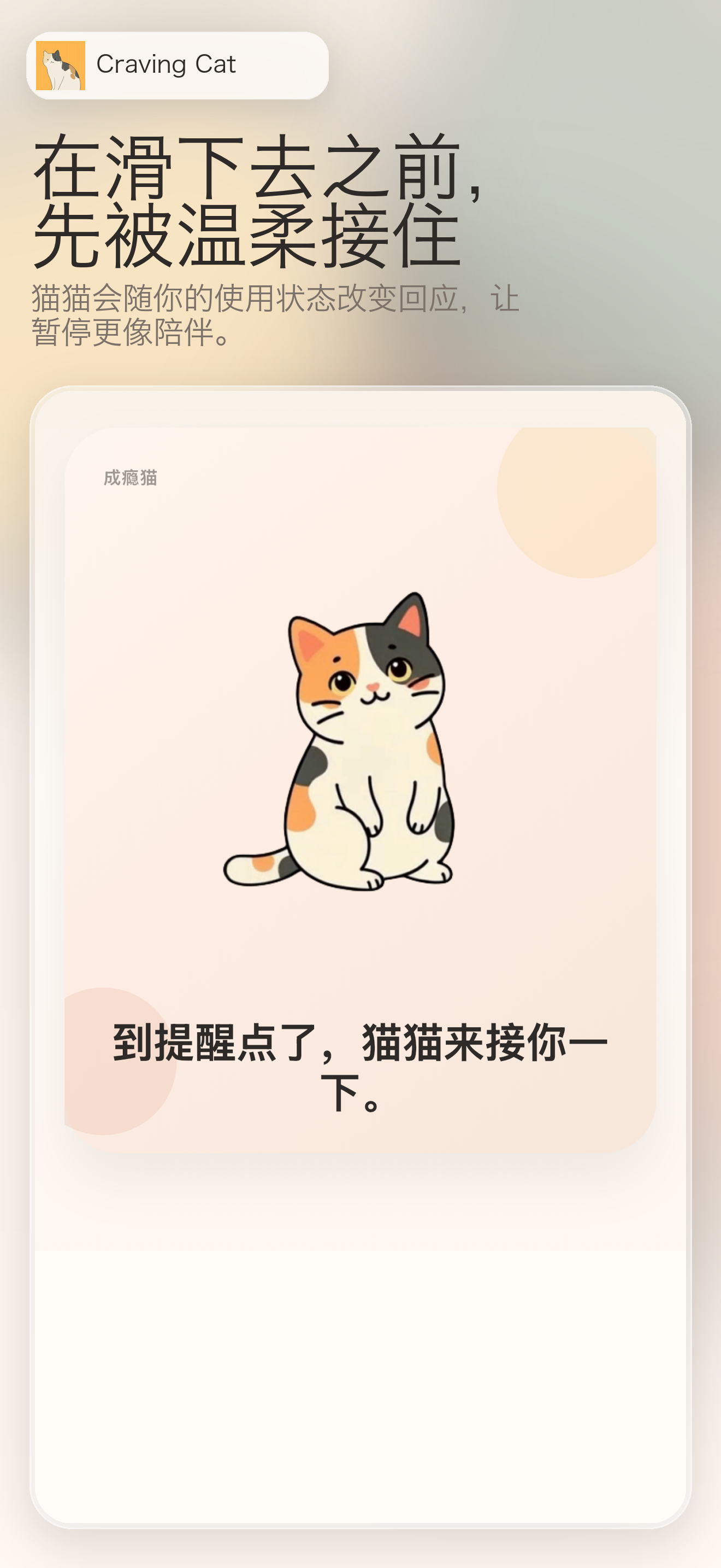 成瘾猫首页