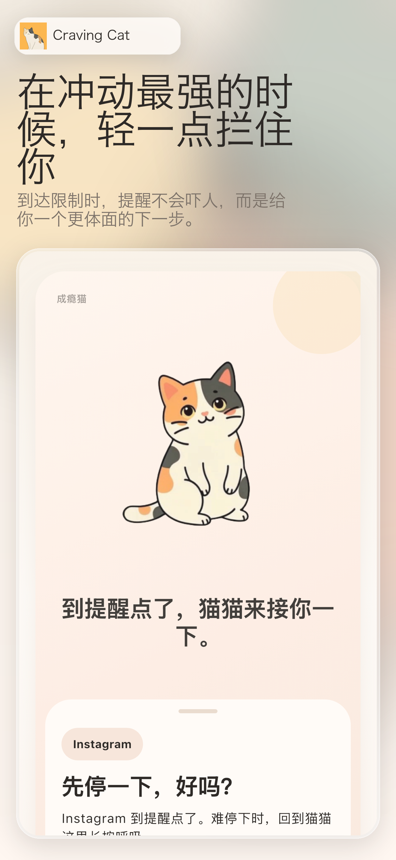 在打开应用前重新选择
